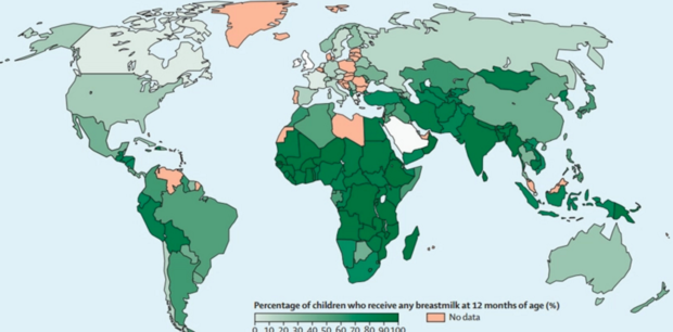 Breastfeeding_in_the_21st_century__epidemiology__mechanisms__and_lifelong_effect_-_Google_検索