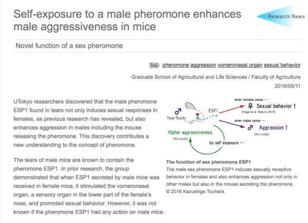 Self-exposure_to_a_male_pheromone_enhances_male_aggressiveness_in_mice___UTokyo_Research