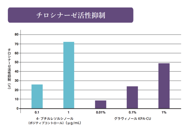 bcf-%e3%82%af%e3%82%99%e3%83%a9%e3%82%a6%e3%82%99%e3%82%a3%e3%83%8e%e3%83%bc%e3%83%abkpa-cu-web-sep