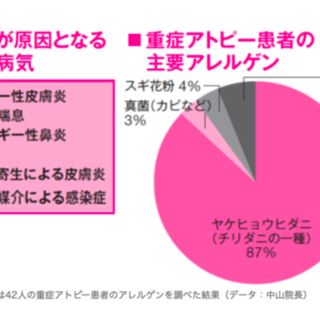 秋はダニアレルギーの季節・ダニが原因となる主な病気