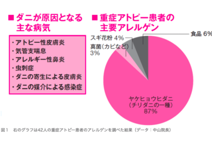 意外や意外、秋はアレルギーの季節⋯それも「ダニアレルギー」の❗肌トラブルはダニが原因かも？