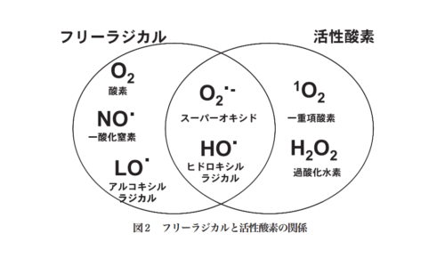 yoshikawa06_pdf