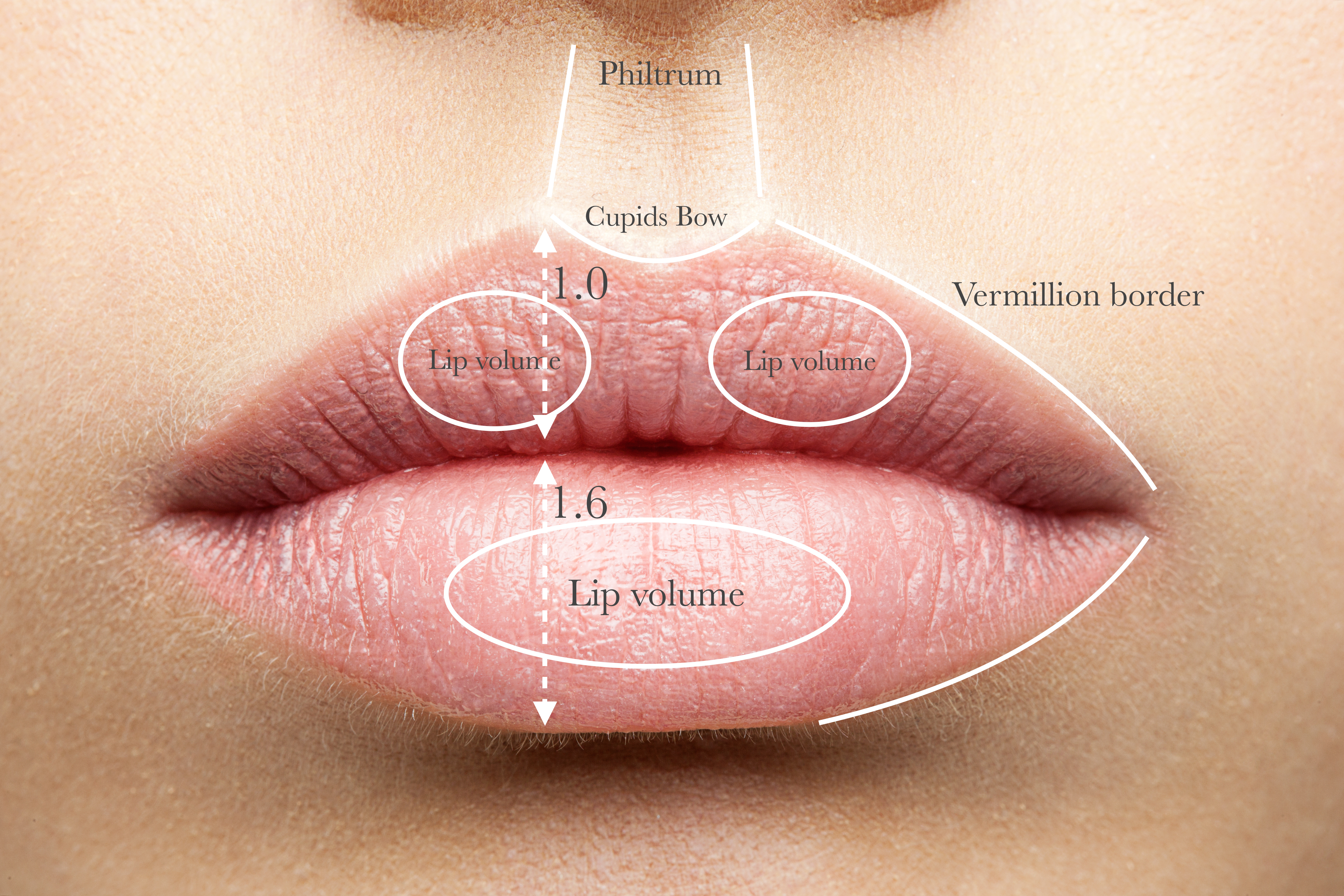 Perfect natural lips