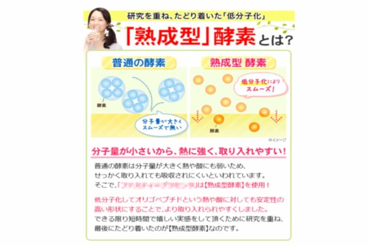 低分子化された熟成型酵素でダイエット？？不思議な広告の謎解き（笑）