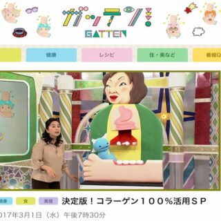 ガッテン！決定版！コラーゲン１００％活用