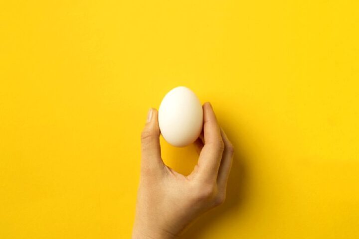 毎日、卵をひとつ食べるのは健康に良いって本当なの？
