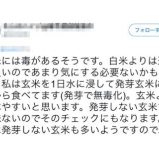 玄米は毒があるから食べないほうが良いは本当か？