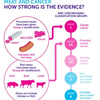 Bacon__salami_and_sausages__how_does_processed_meat_cause_cancer_and_how_much_matters__-_Cancer_Research_UK_-_Science_blog-1