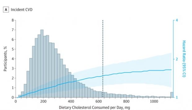 コレステロール問題、卵は食べて良いか？NGか？