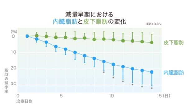 おなか痩せと言っても2種類ありまして、皮下脂肪は難敵、でも解決策を見つけちゃったんだなあ。