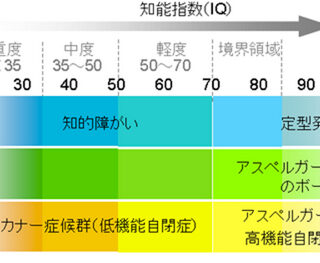 自閉症の原因は水銀ではないのでキレート治療では治りません