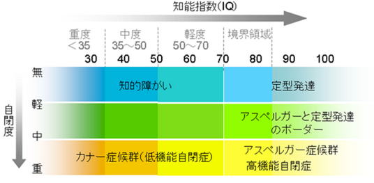 自閉症の原因は水銀では無い❗キレート治療では自閉症は治りません❗