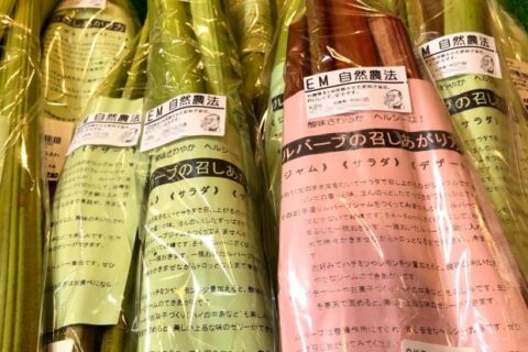 医師が知らないニセ医学【その1】 EM菌の医療への応用はトンデモだよ