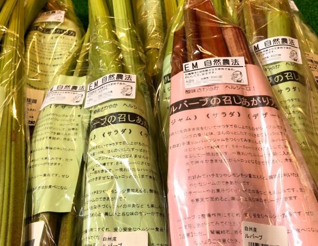 医師が知らないニセ医学【その1】 EM菌の医療への応用はトンデモだよ