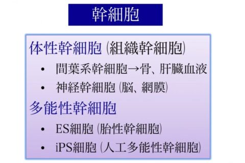 ワタナベ薫さんが受けた美容医療「幹細胞で皮膚を若返らせる」は疑問だらけ❗