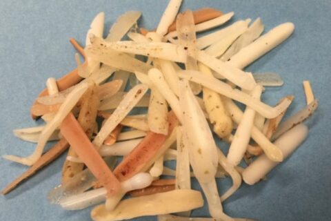 鼻を高くしたい❗鼻筋を通したい❗そんな希望を叶えるプロテーゼを使った美容整形の問題点と解決方法。