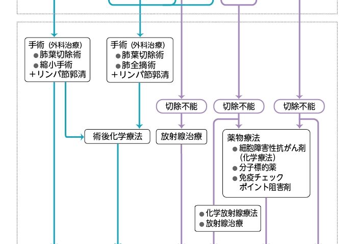 アンジェリーナ・ジョリーの選択は正しかったのか？乳がん予防のための乳腺除去手術