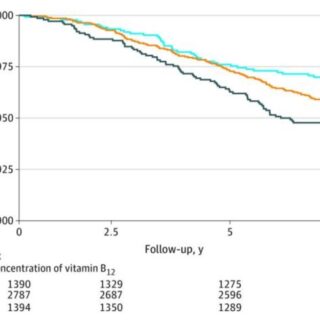 過剰なビタミンB12摂取は死亡リスクを高める可能性