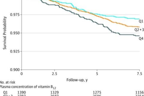 ビタミン神話崩壊？過剰なビタミンB12摂取は死亡リスクを高める可能性有り。