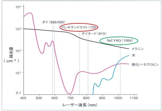 またレーザーの波長によってメラニンや水に対する吸収性の違い