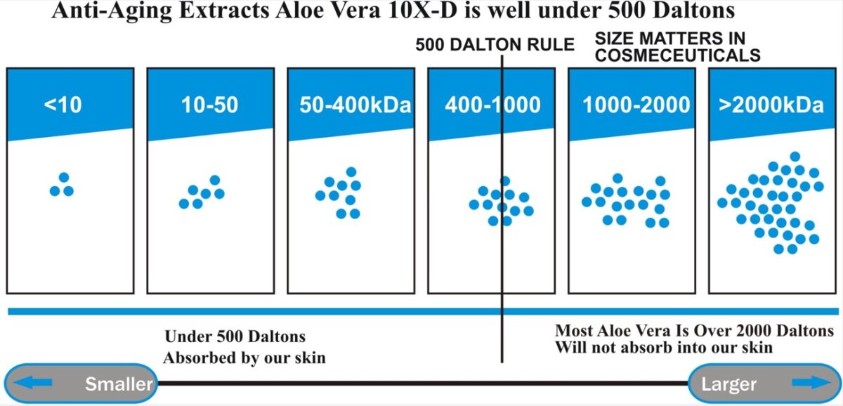 海外のアロエ系の化粧水の解説
