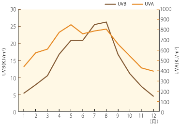 紫外線の月別照射量