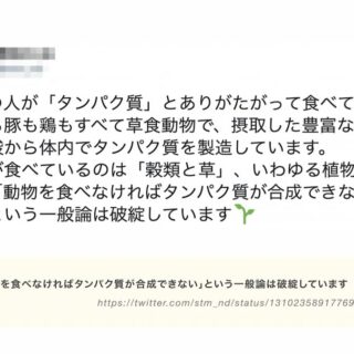 たんぱく質をありがたがって食べるな、と主張するヴィーガンの植物療法士