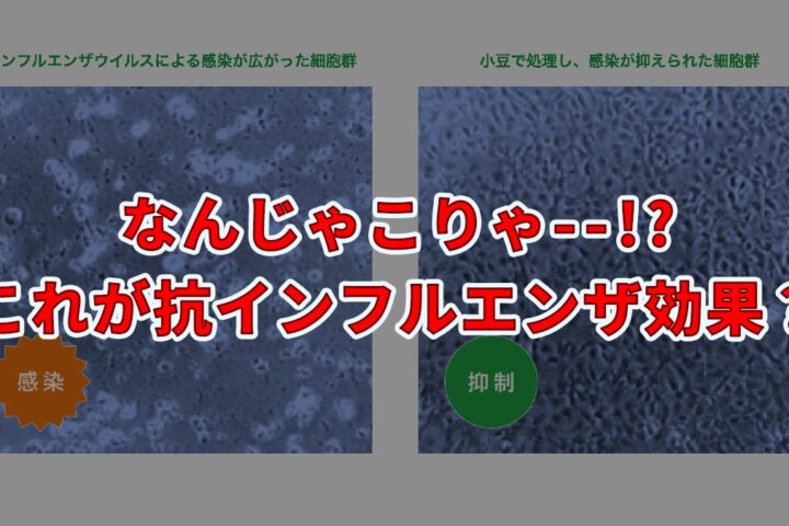 龍角散、小豆がウイルス対策に効果がある❗と言い切って大丈夫？