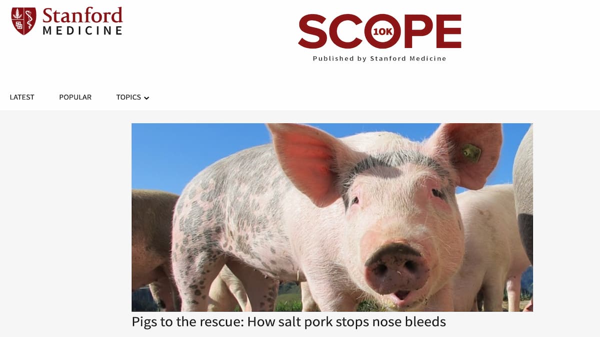 加工豚肉で鼻血を止める方法