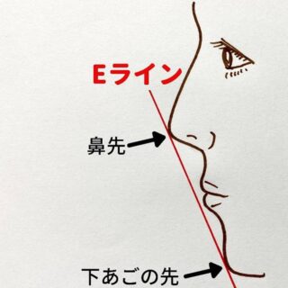 Eライン（エステティックライン）とは Eラインとは横顔の鼻先と下あごの先を結んだ線のことで、美しい横顔の指標となる基準線です。