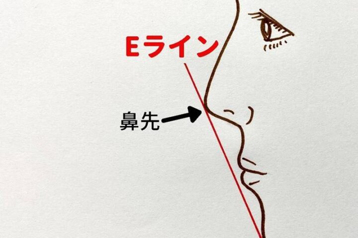 理想的な横顔の指標「Eライン」とは？美に近づける治療法