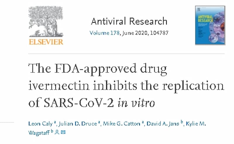 イベルメクチンの抗ウイルス効果論文