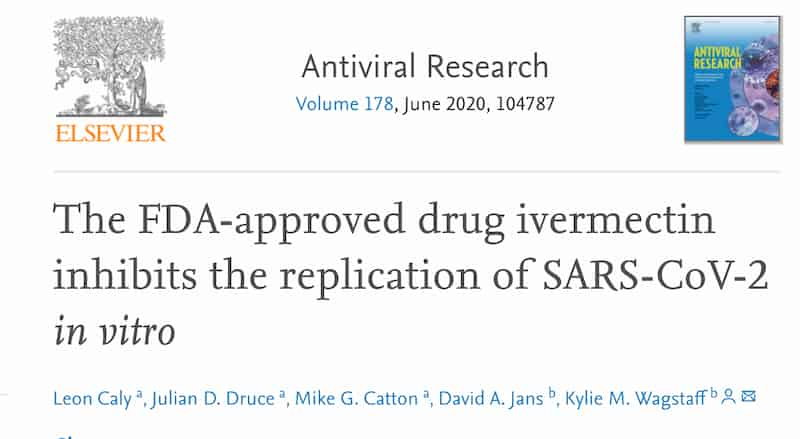 イベルメクチンがウイルスの増殖を抑えることを示した論文