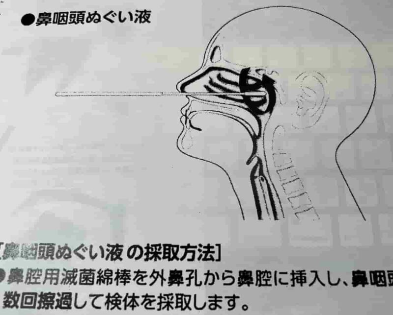 PCR検査の綿棒による正しい検体採取方法