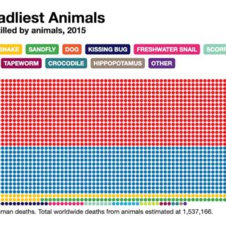 「The deadliest animal in the world」どの動物が人間を一番殺しているのか？